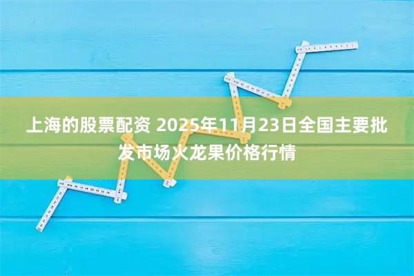 上海的股票配资 2025年11月23日全国主要批发市场火龙果价格行情